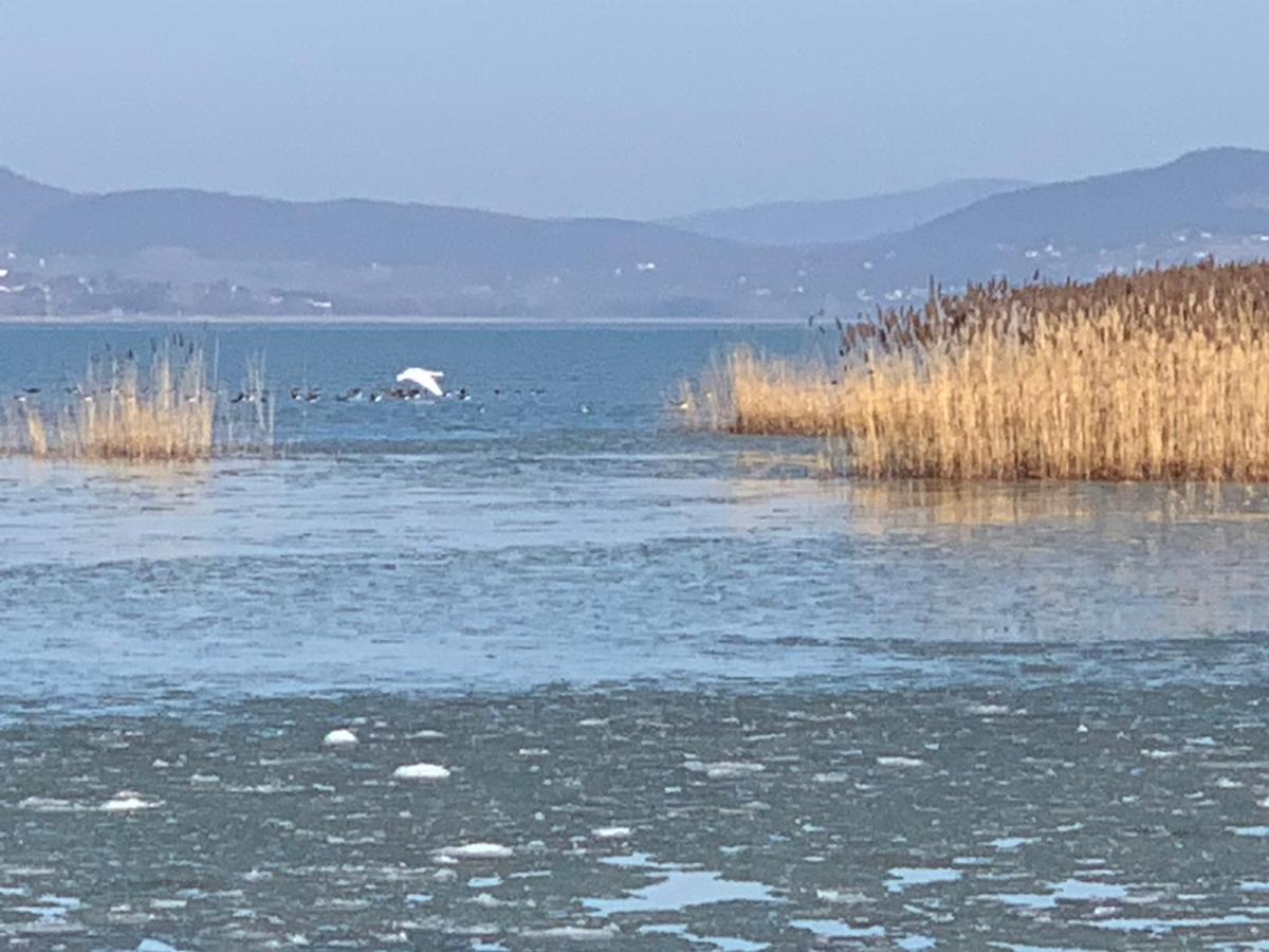 Topart Apartman I Balatonfenyves Dış mekan fotoğraf