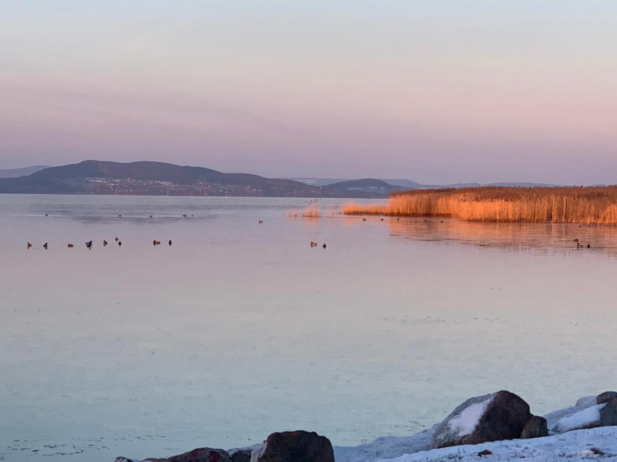 Topart Apartman I Balatonfenyves Dış mekan fotoğraf