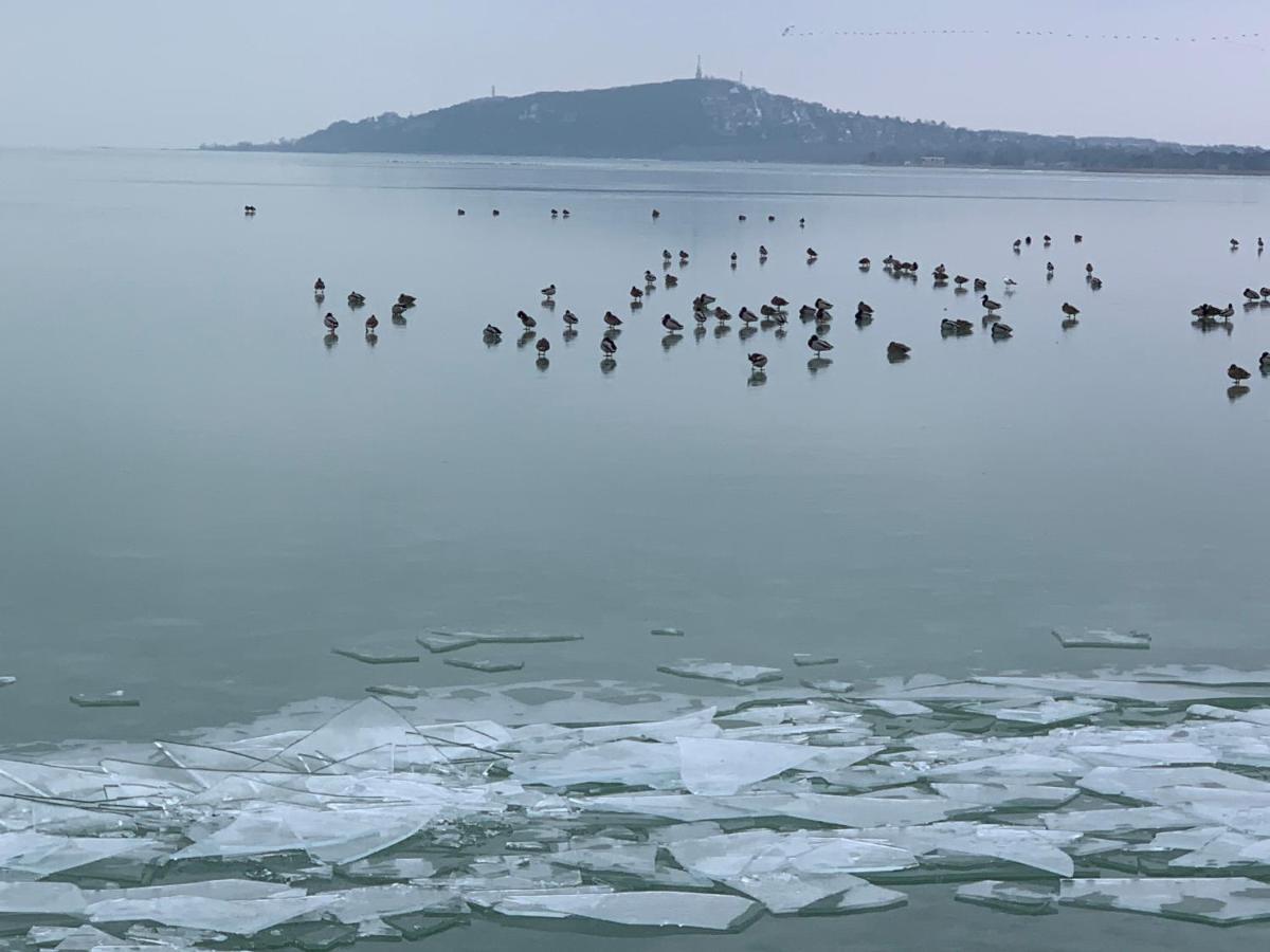 Topart Apartman I Balatonfenyves Dış mekan fotoğraf